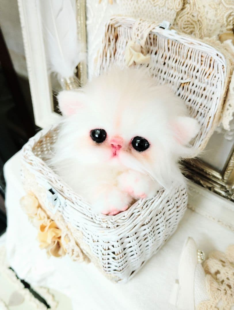 エキゾチック♡子猫のぷんちゃん♡アートドール♡ぬいぐるみ♡