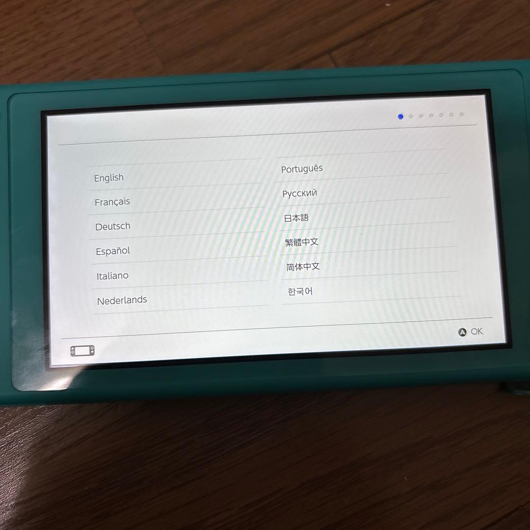 Nintendo Switch Lite ケース ACアダブター sdカード付き