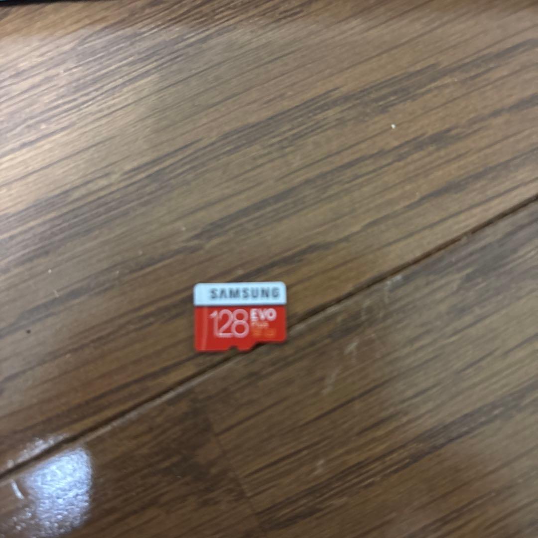 Nintendo Switch Lite ケース ACアダブター sdカード付き