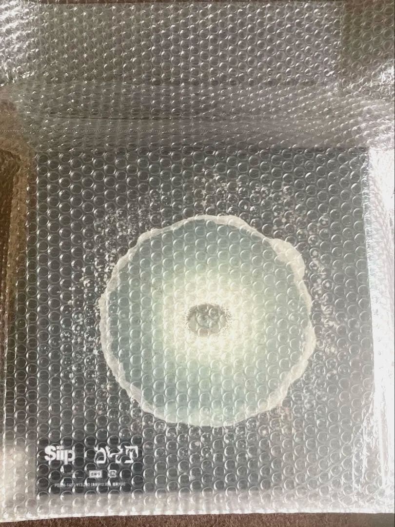 siip ガイア【完全生産限定盤】ダウンロードカード【未使用】+GOODS