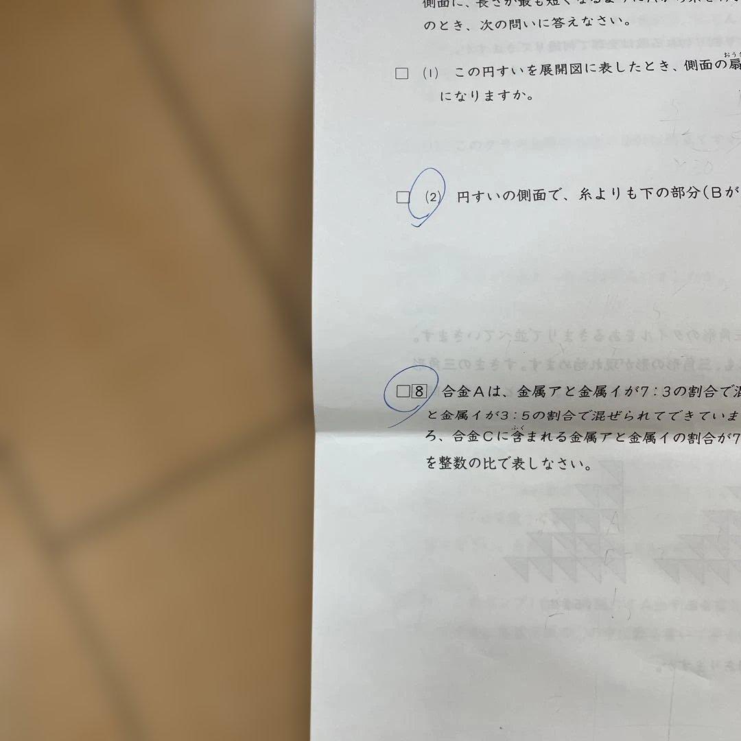 日能研　6年生　後期　合格力育成テスト　合格力実践テスト　半年分