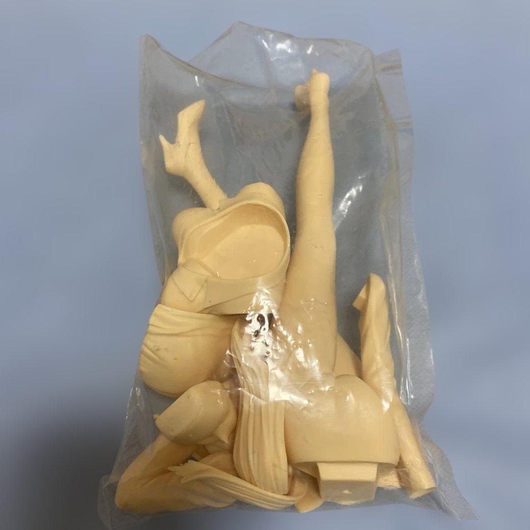 八木沢萌&もう1体　未塗装レジンキット　VOLKS 1/6