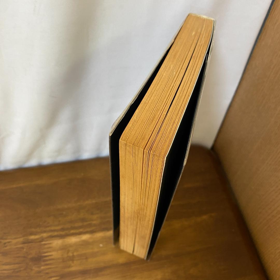 「ケーフェイ」佐山聡 　プロレス　レア本　タイガーマスク