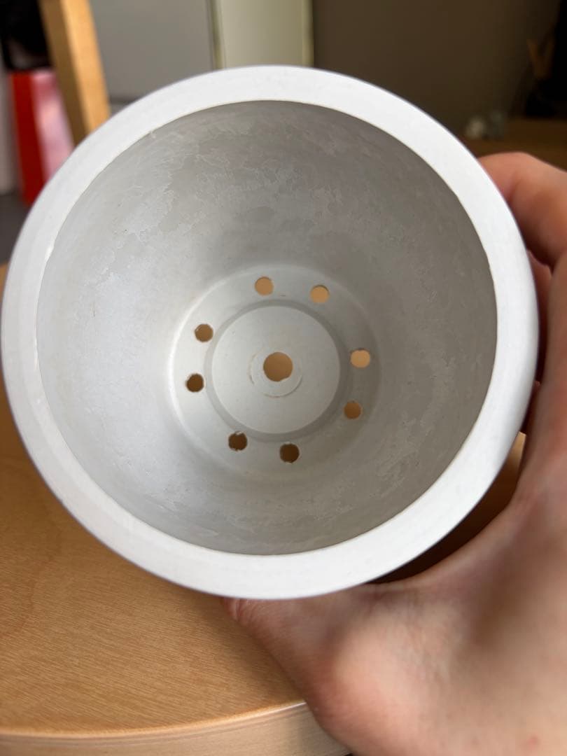 BOTANIZE × Backside works. プラ鉢 Sサイズ