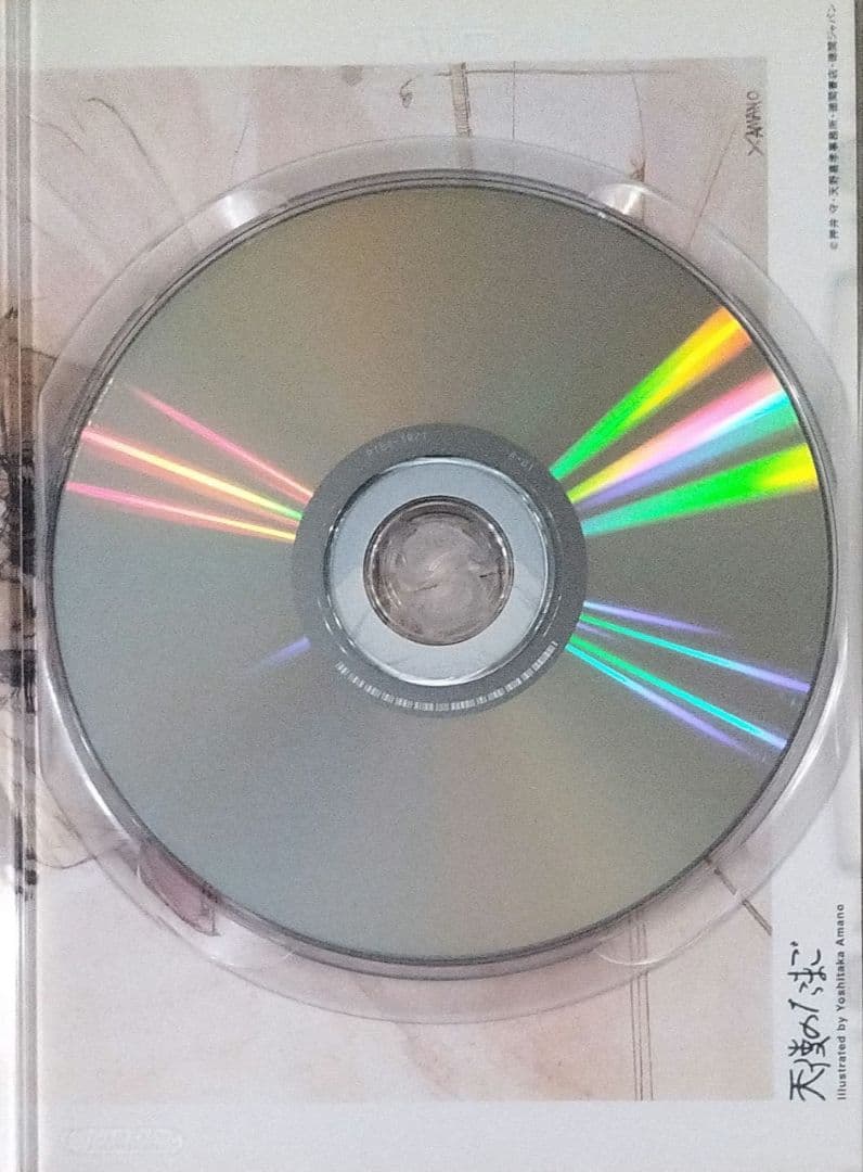 天使のたまご DVD 押井守 天野喜孝 アニメーション映画