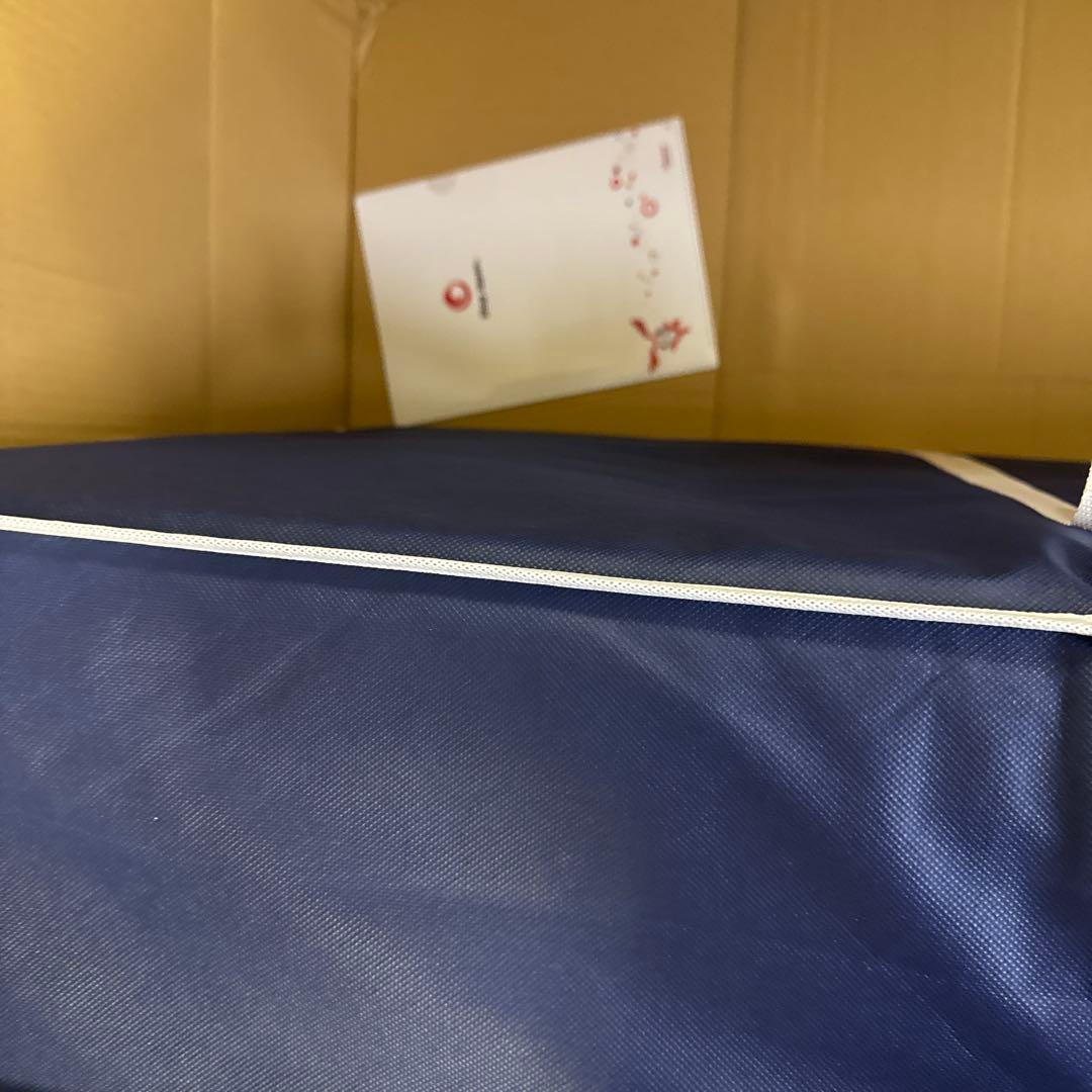 Shop Japan True Sleeper ダブル