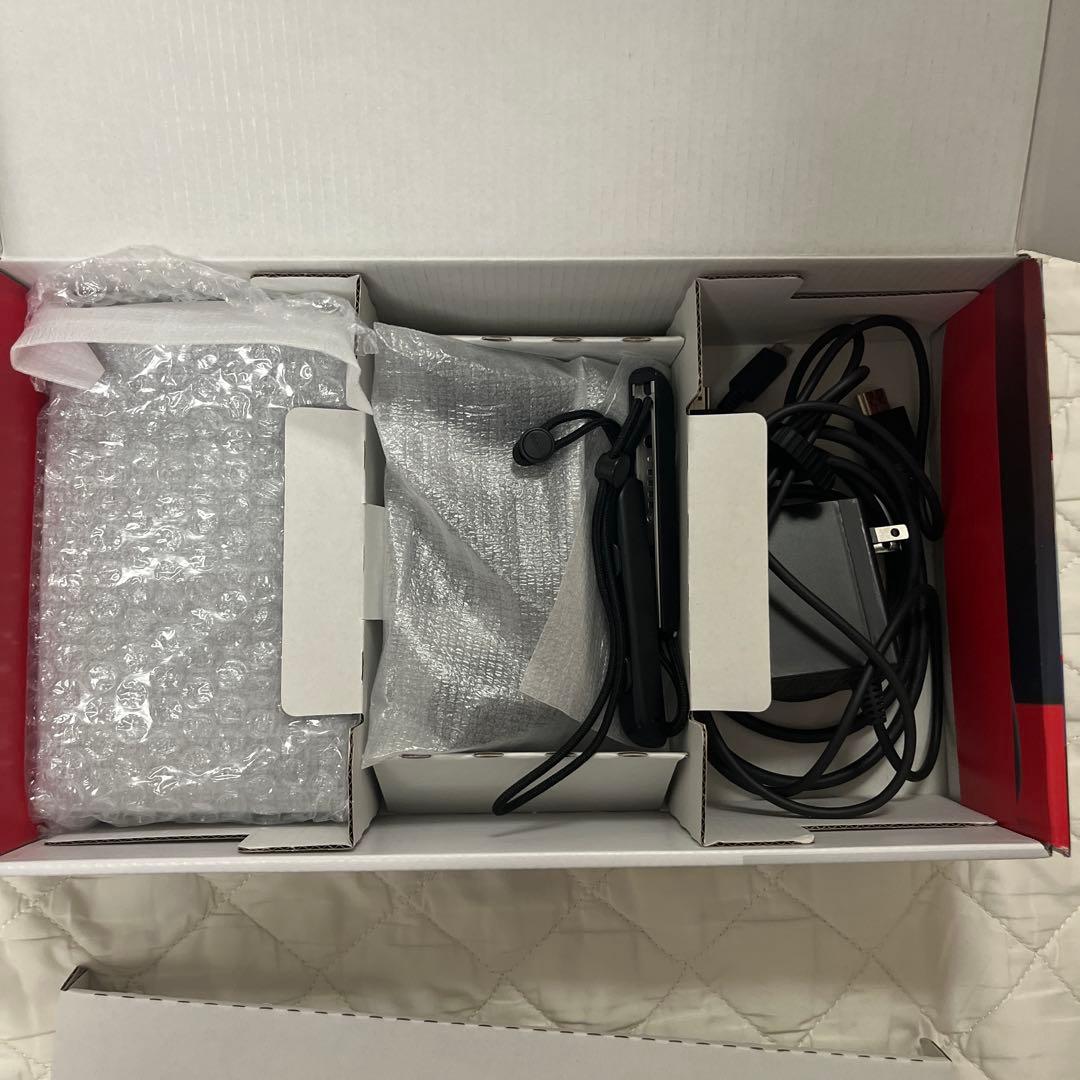 Nintendo Switch 本体 グレー ハードケース付き