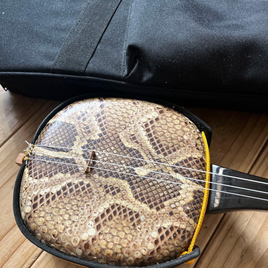 沖縄三線　蛇本革　ケース付き　弦の棒が一本折れています。つめ2個　予備棒　弦付き