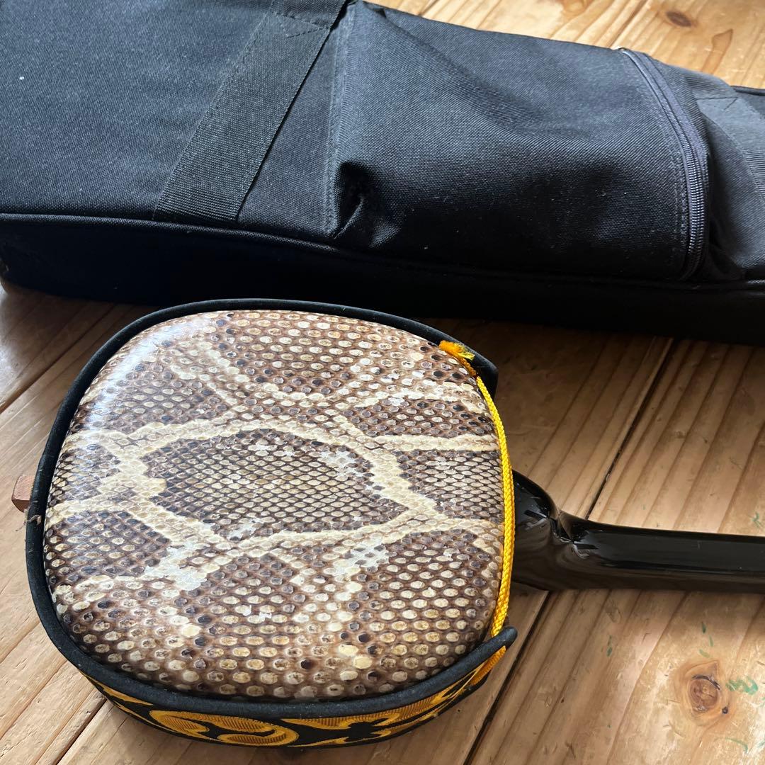 沖縄三線　蛇本革　ケース付き　弦の棒が一本折れています。つめ2個　予備棒　弦付き