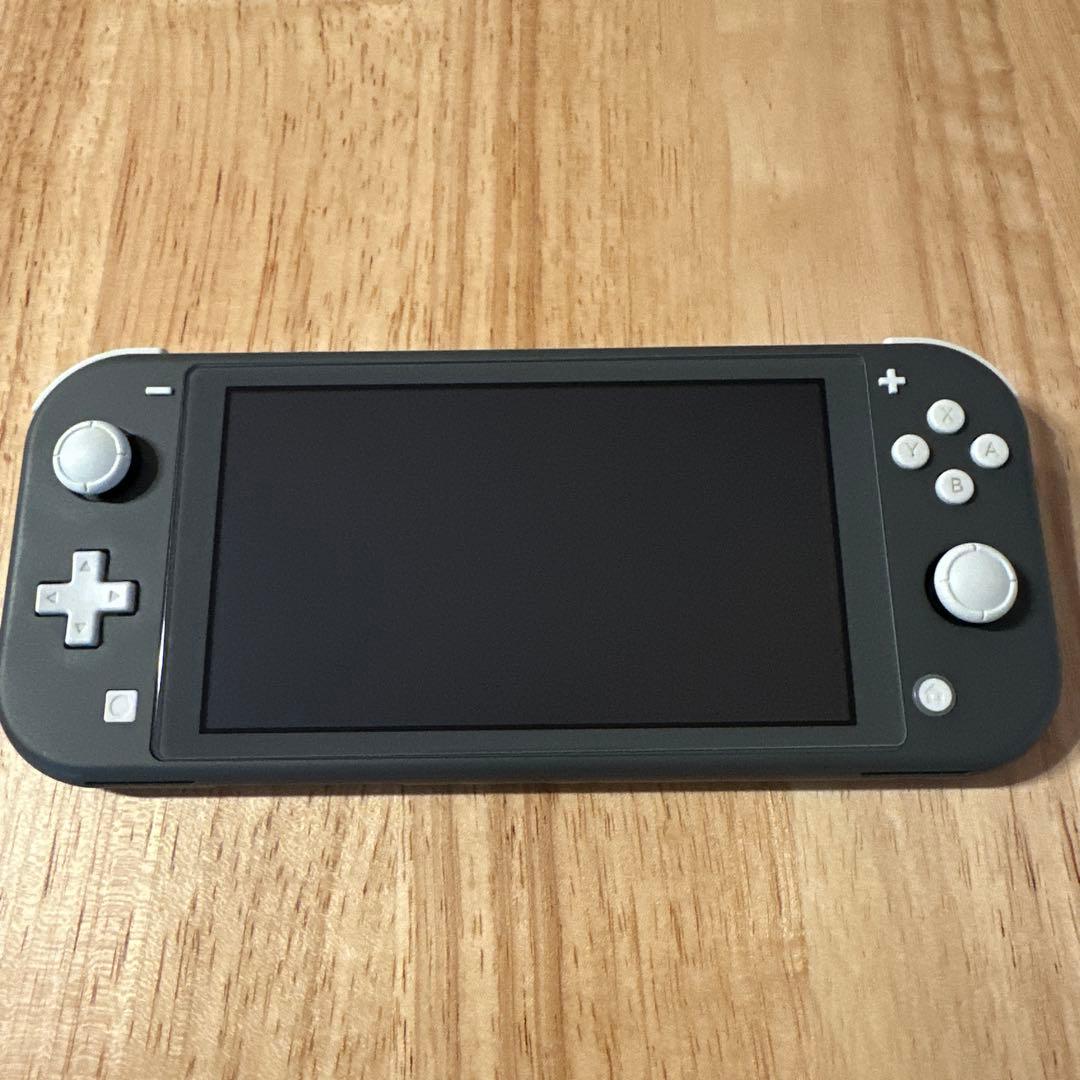 Nintendo Switch LITE グレー　ソフトケース付き