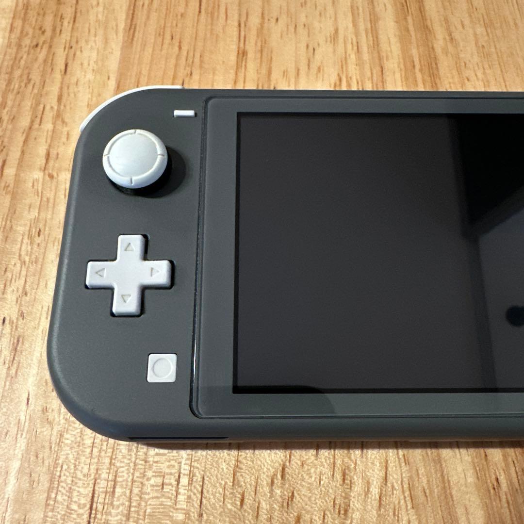 Nintendo Switch LITE グレー　ソフトケース付き