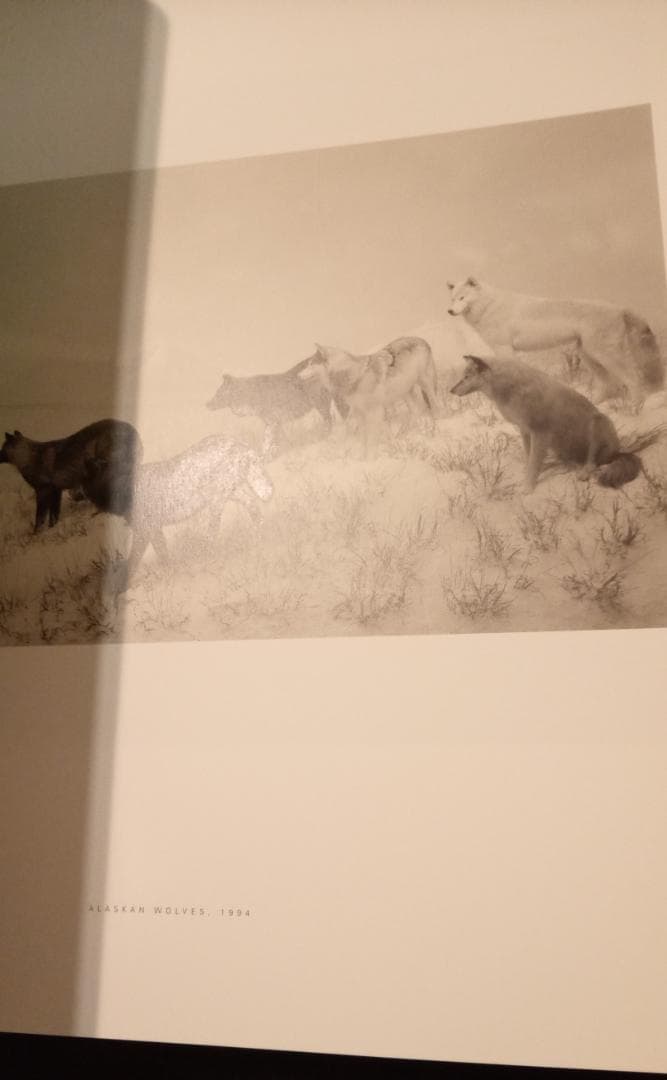 杉本博司 Hiroshi Sugimoto図録森美術館作品集写真集特集本カタログ