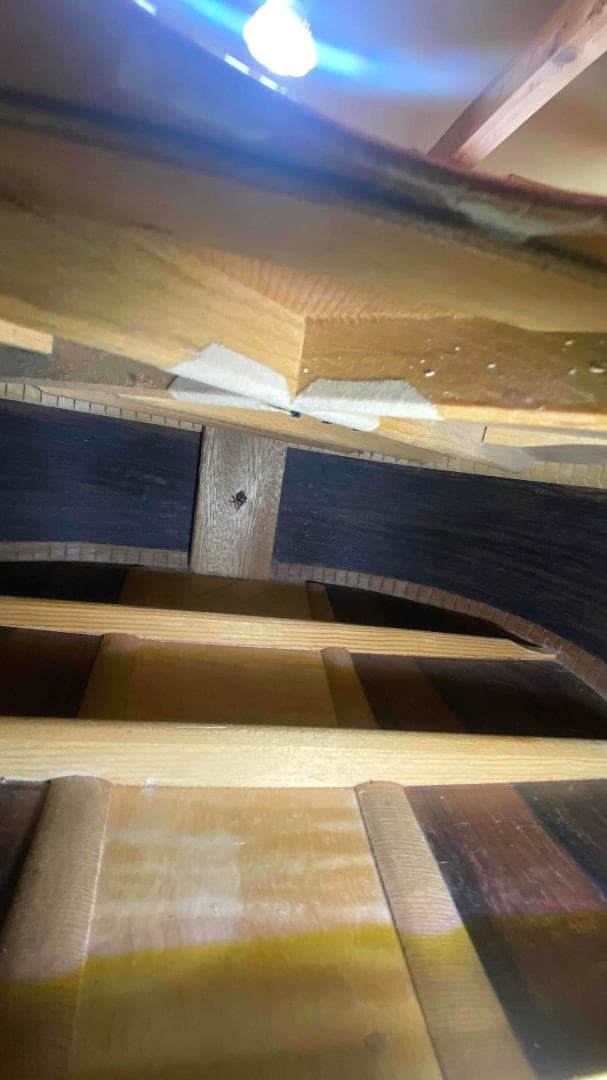 勇*悟様 値下げ希少❣人気種　1973年morris　W-40　ハカランダ！HC