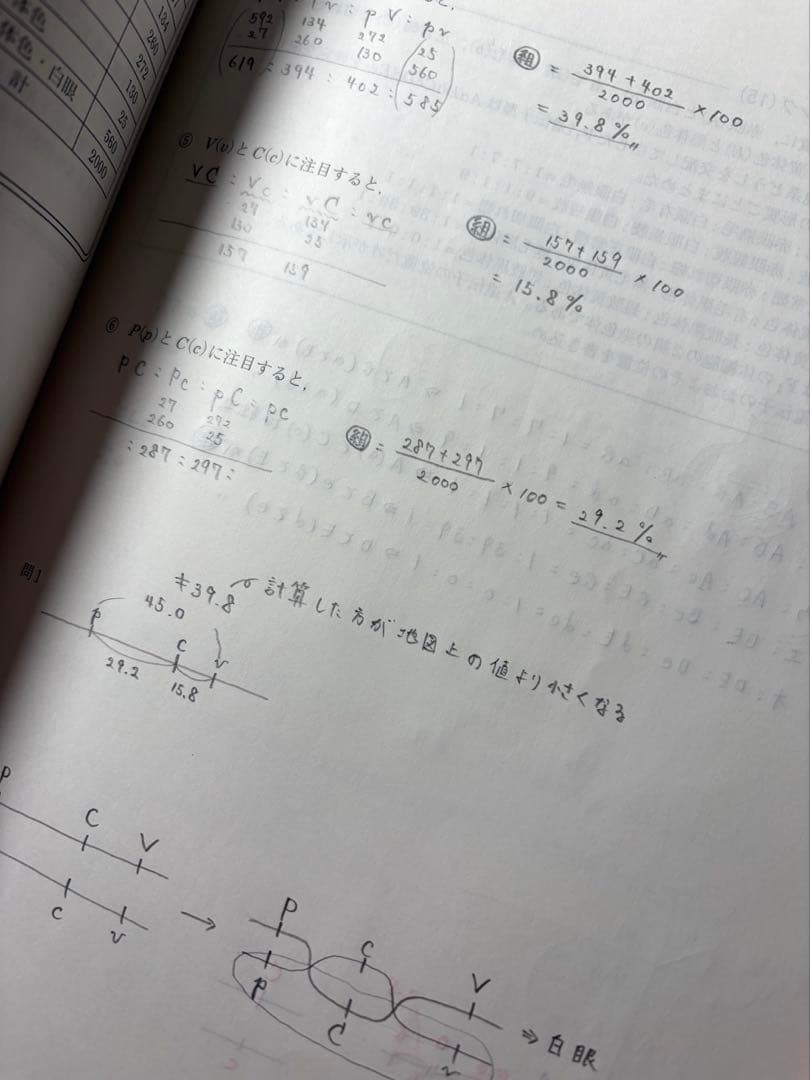 大森徹　駿台夏期講習　遺伝特講　テキスト+プリント　2022