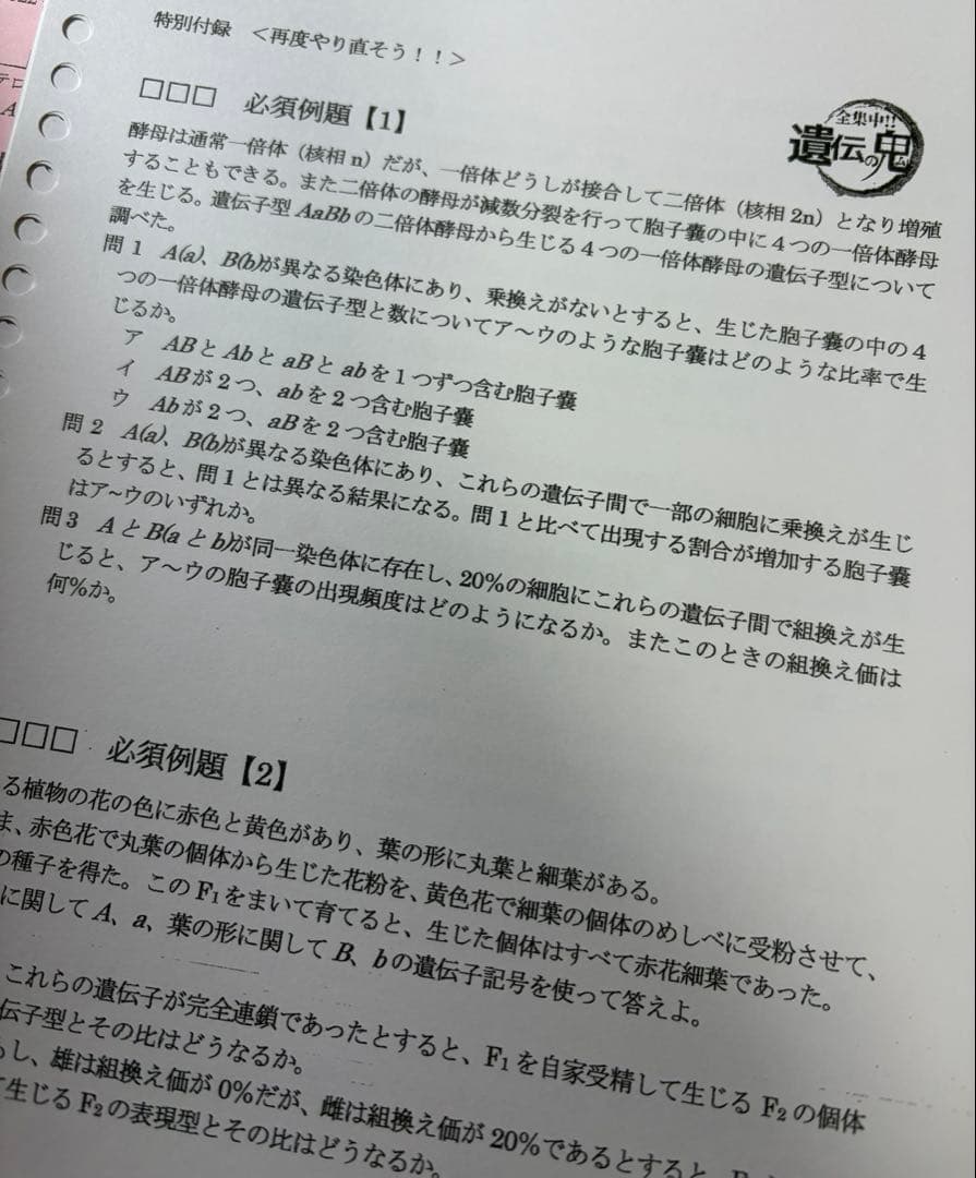 大森徹　駿台夏期講習　遺伝特講　テキスト+プリント　2022