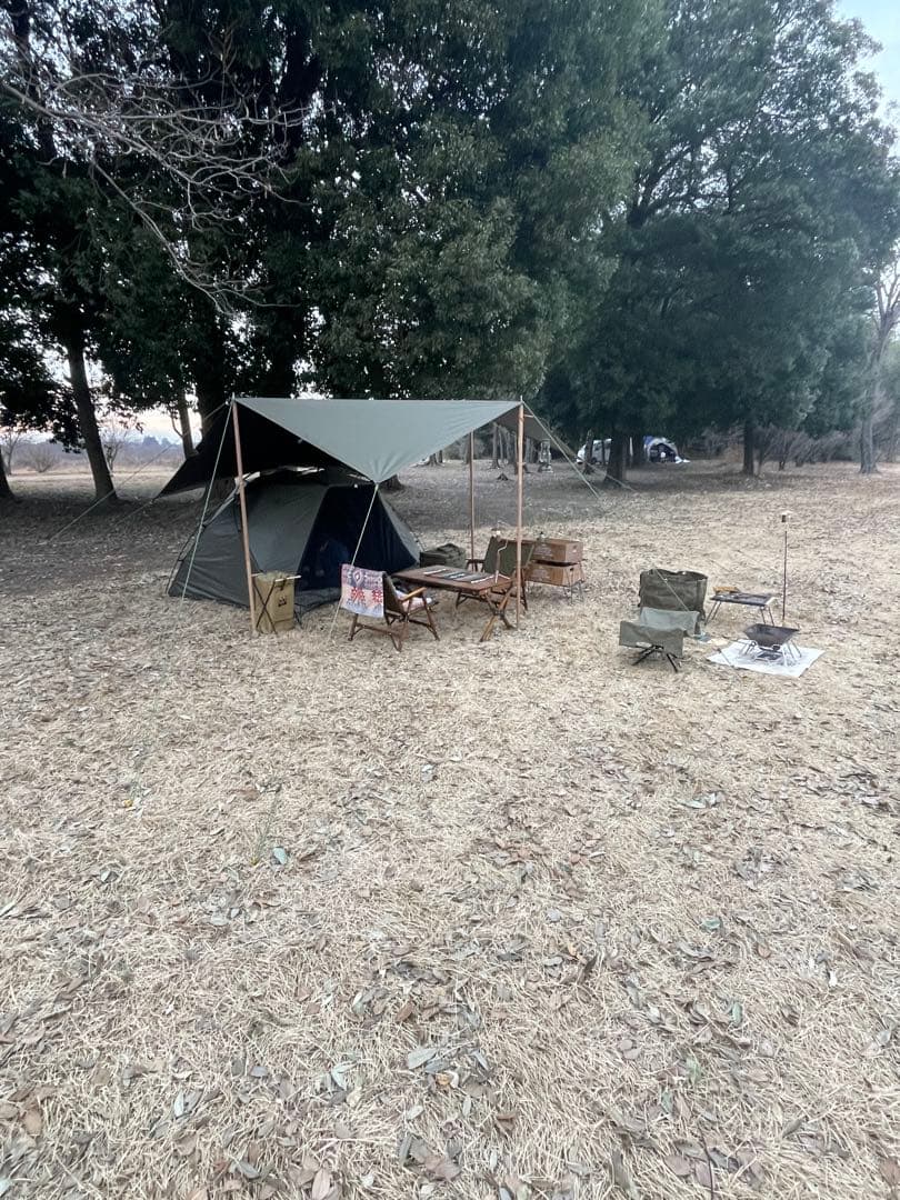 あゆみ　waq ease shade オリーブグリーン