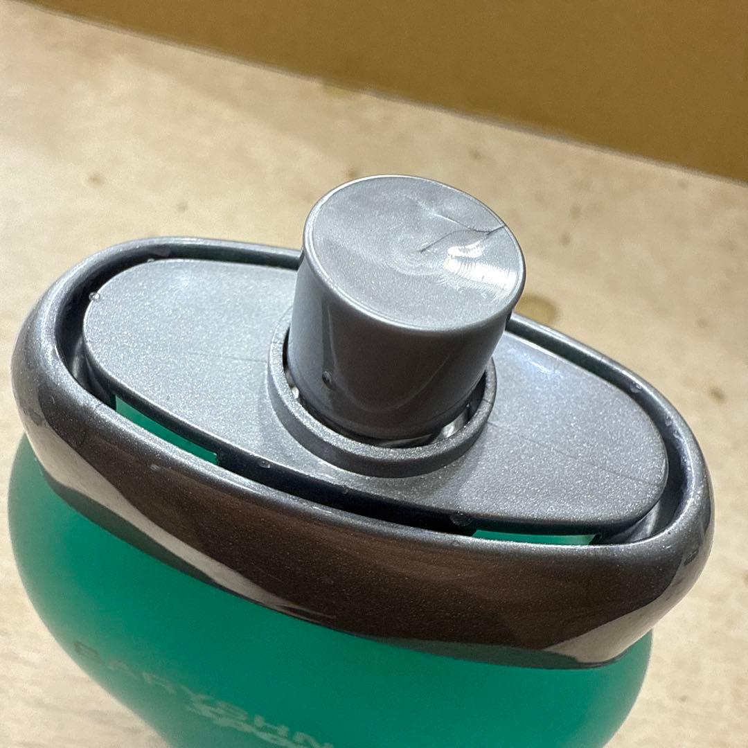 パルロックス バリシニコフ プールオム 100ml