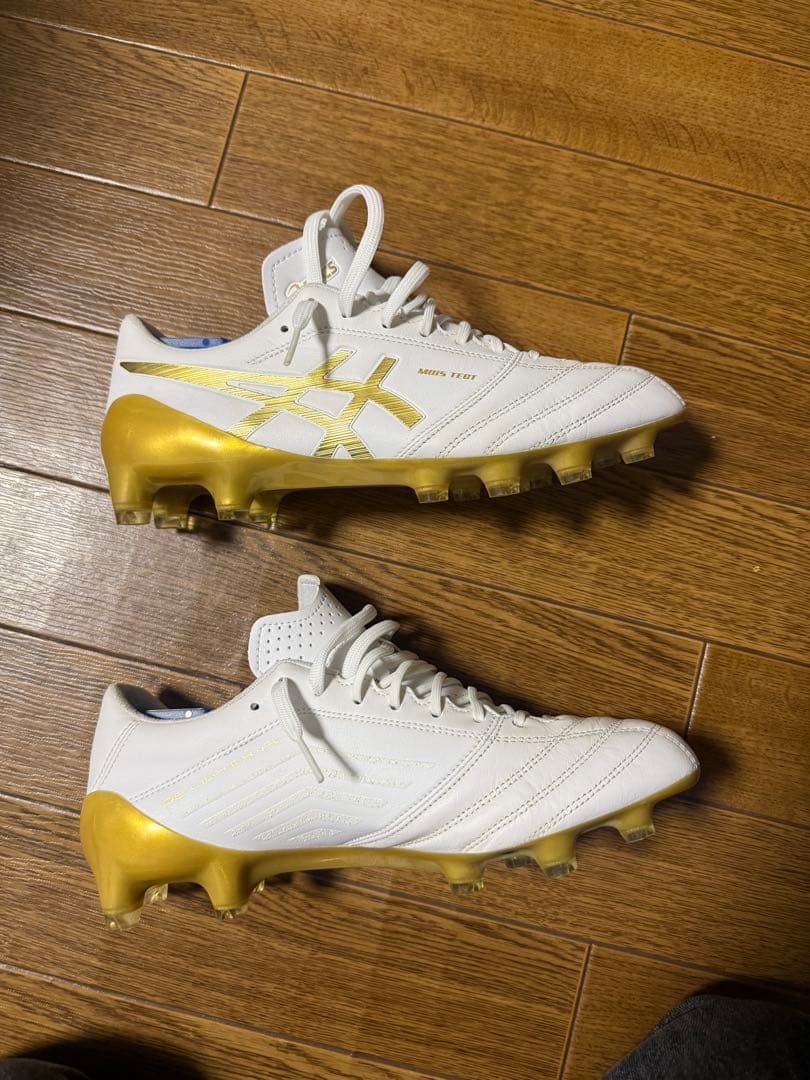 ありがとう アシックス DSライトX-FLY4 25cm