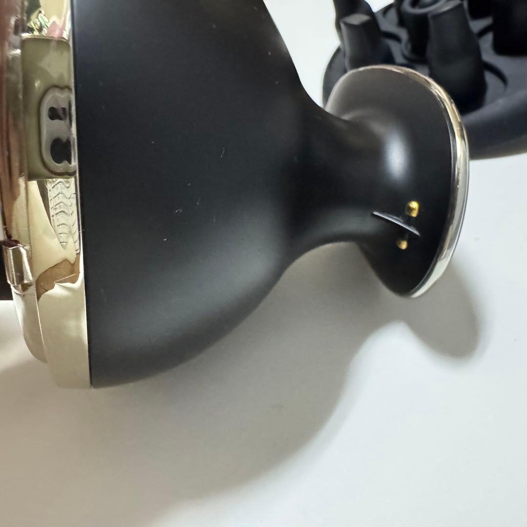 YAMAN ヴェーダニードルスパBS for Salon サロン限定品