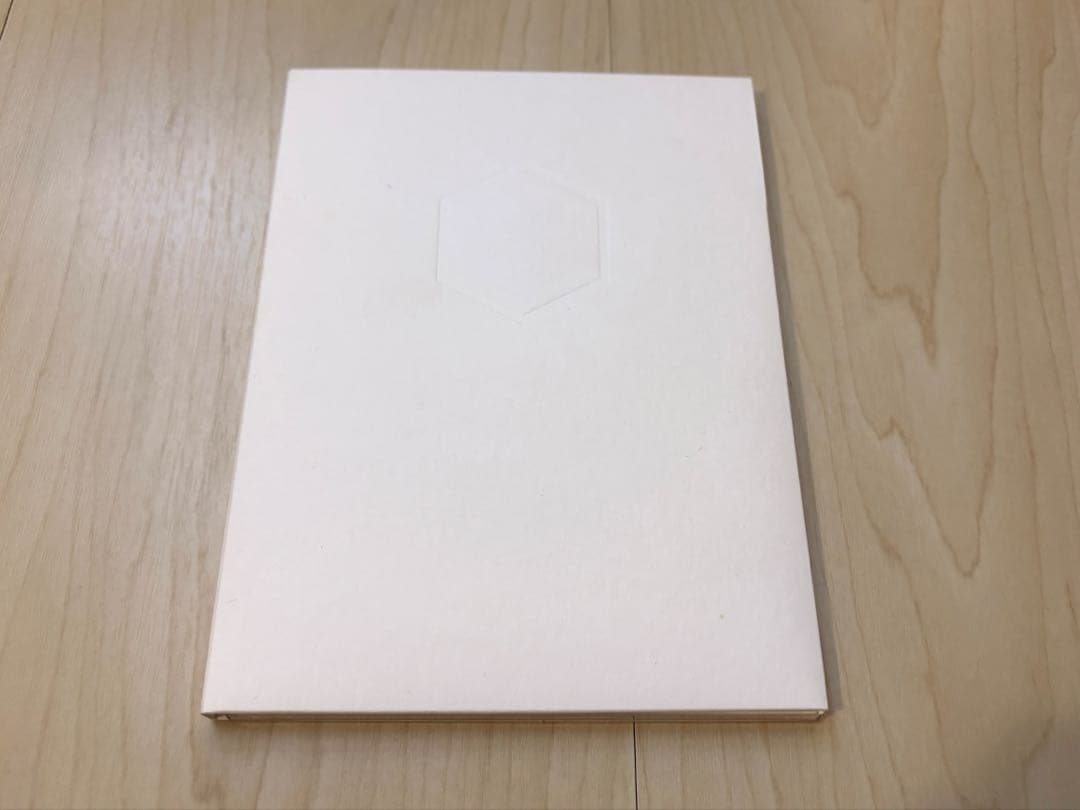 女王蜂 白兵戦 DVD ライブ 希少