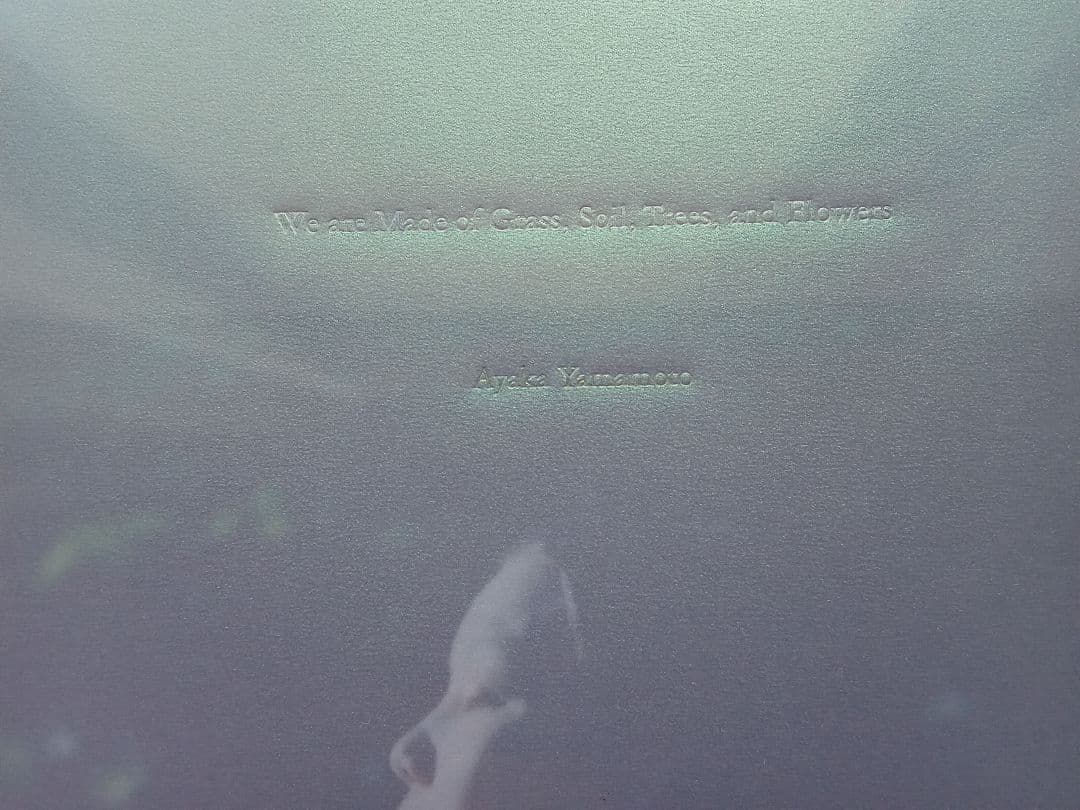 山元彩香　We are Made of Grass, Soil, Trees