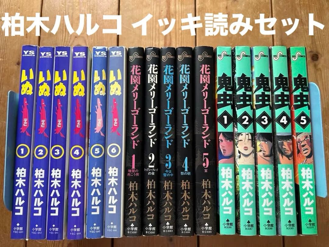 柏木ハルコ 一気読み‼︎ 3作品16冊まとめ売り