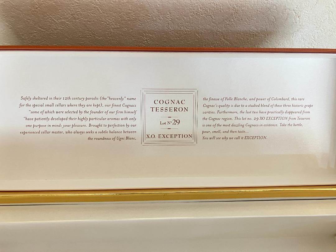 （メル44801さん専用）パーカー満点！テセロン「ロット No.29 」