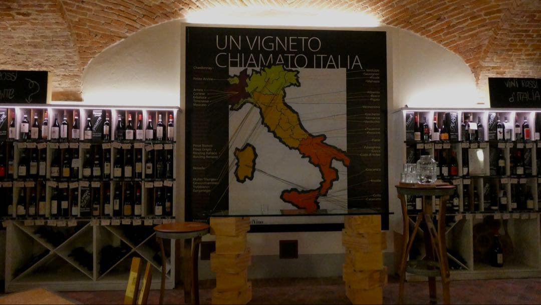 LUMIX DC-TZ95 本体、バッテリー、カメラケースのみ