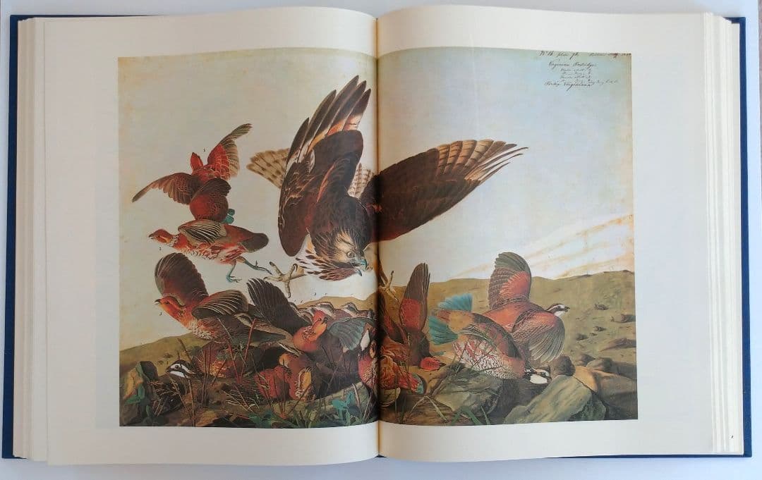 【洋書】「オーデュボンによるアメリカの鳥類のための水彩原画集」函入り2巻セット