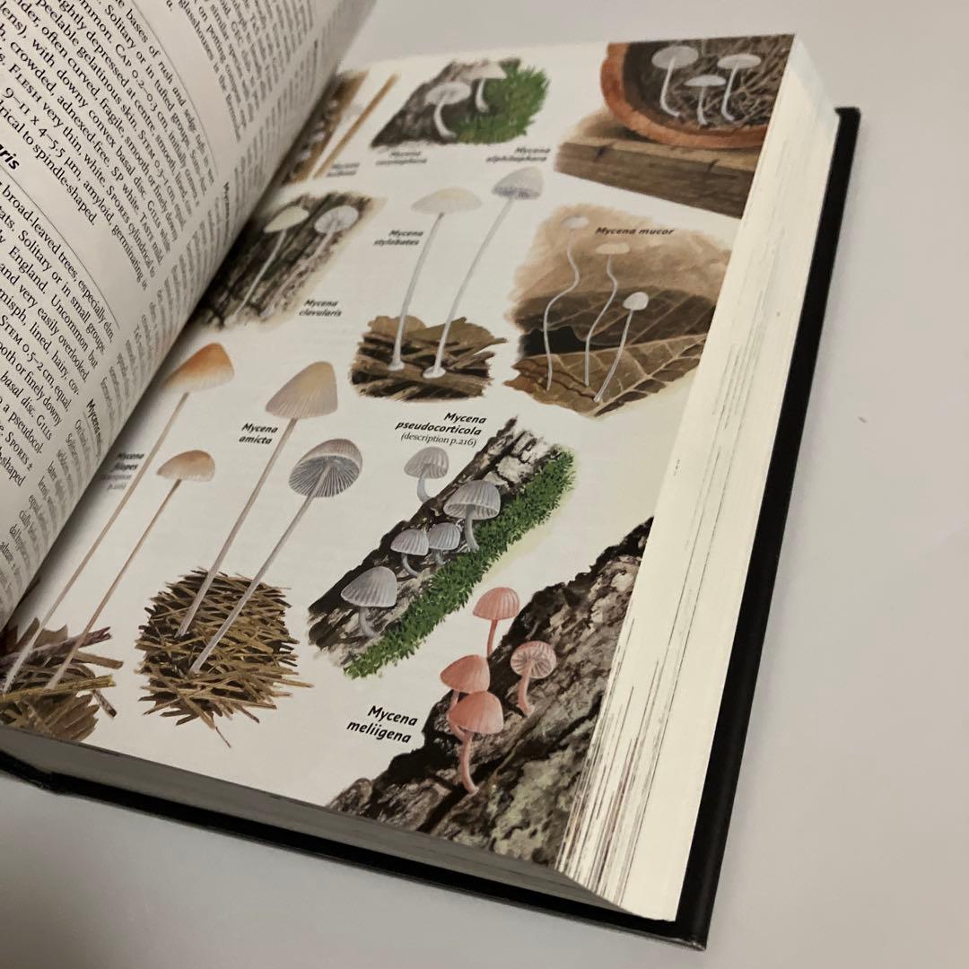 洋書　きのこ図鑑　コリンズ菌類ガイド　COLLINS FUNGI GUIDE