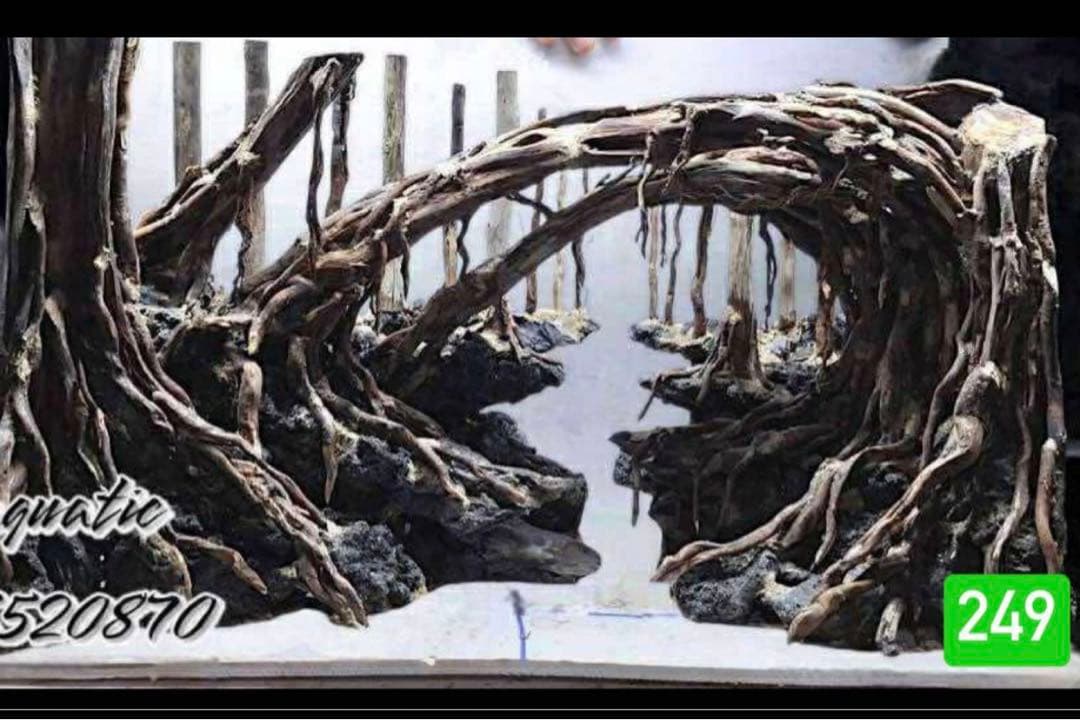 TTD 24956【⭐︎ 名同力也様⭐︎】【美品・数量限定】