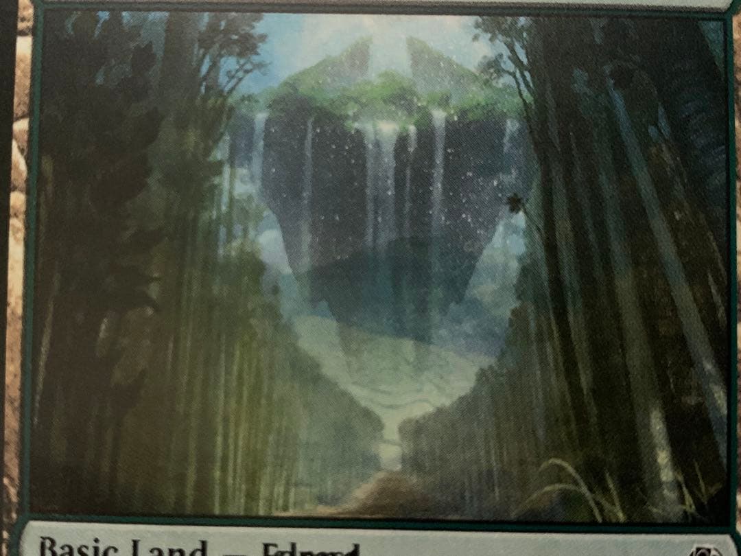 MTG エラーカード　1枚　島　森　メルカリ限定出品