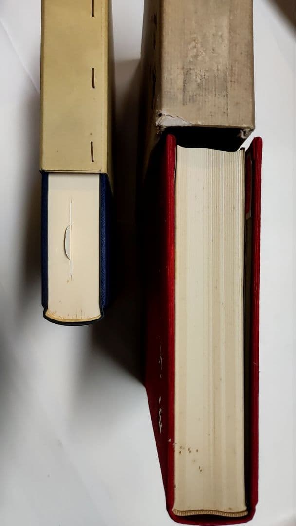 経絡の原典　気の思想　2冊セット　経脈　図つき