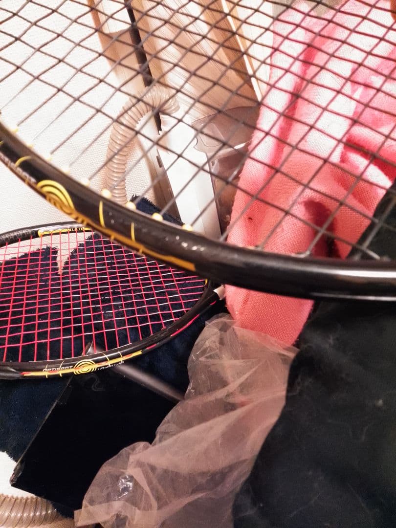 Volkl Organix 10　(フォルクル オーガニクス 10）２本セット