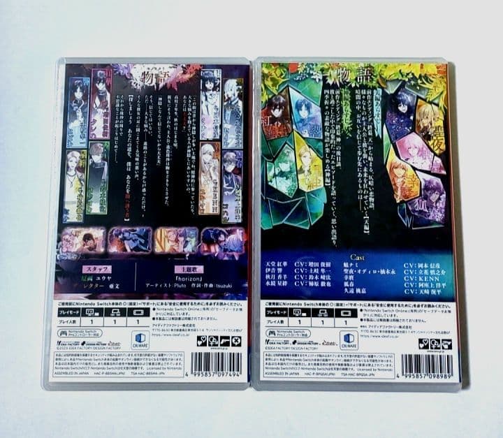 9R.I.P. ナインリップ switch 通常版