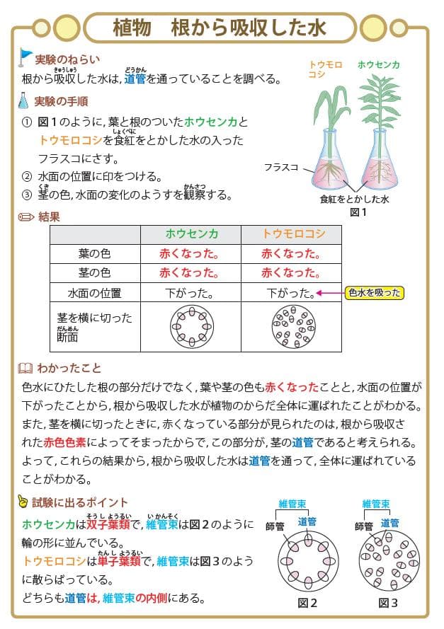 ☆中学受験・理科　頻出用語・ポイントにしぼったまとめカード、セット商品