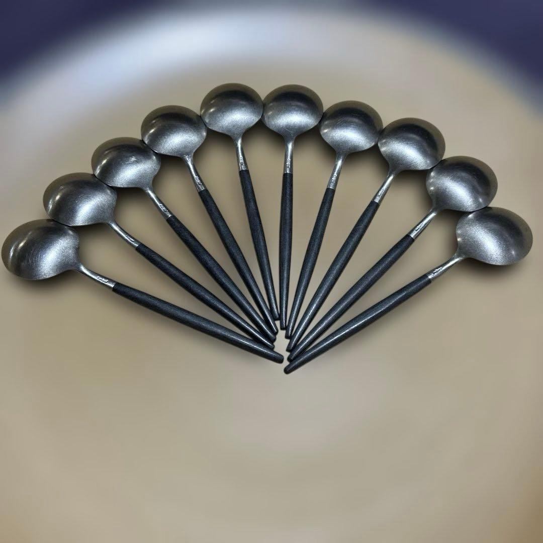 cutipol GOA ティースプーン　10本セット