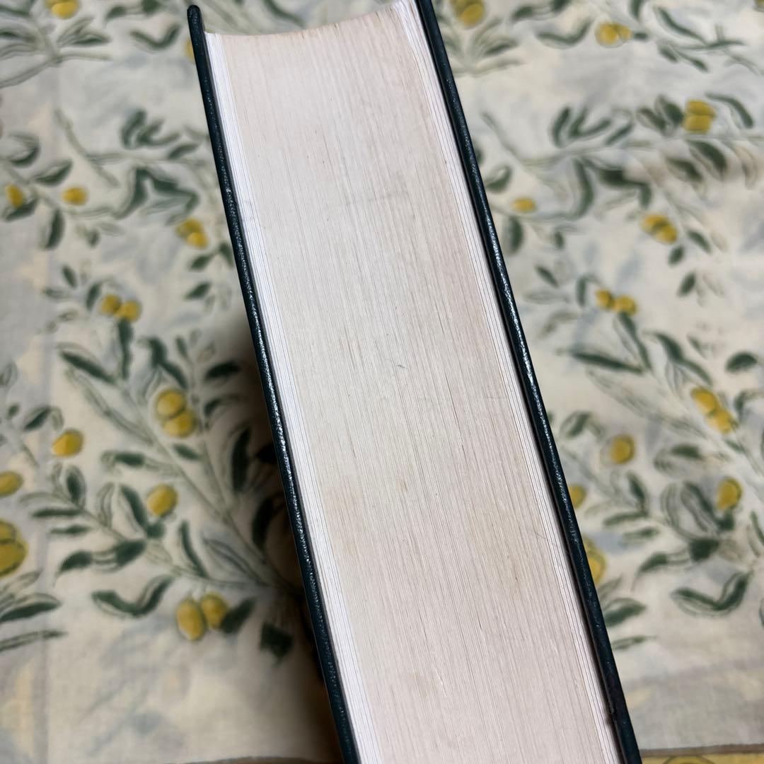 洋書 opathic Medical Repertory