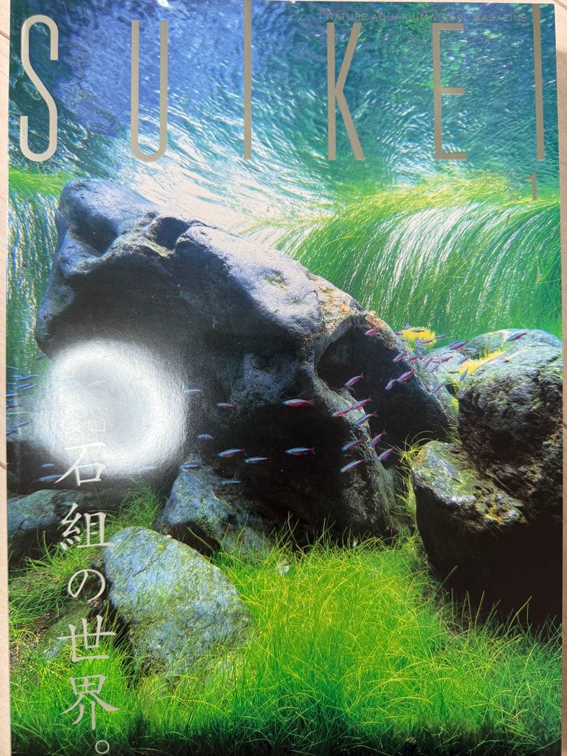 M*o様 SUIKEI nature aquarium visual magaz