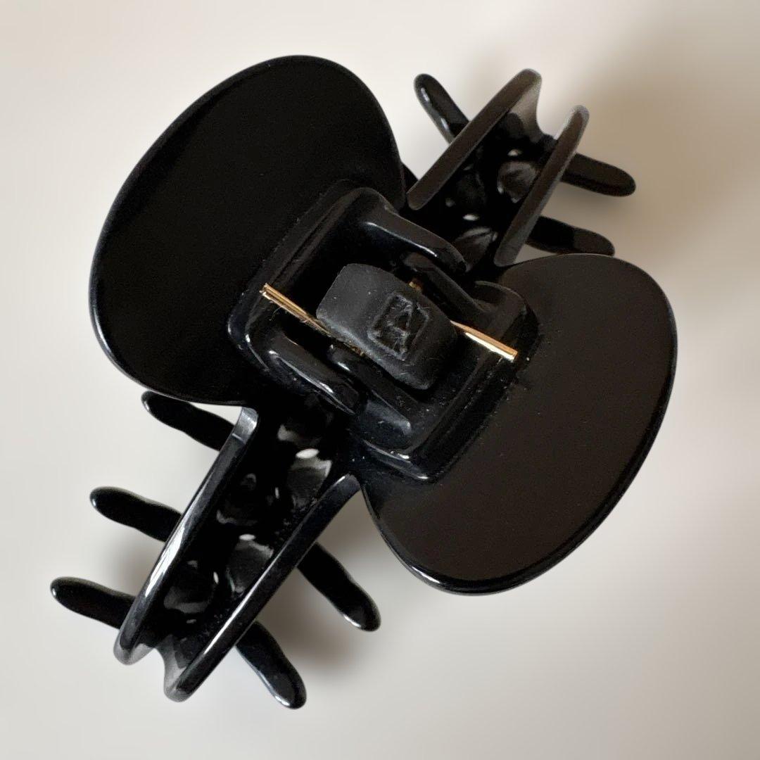 11/3値下！ALEXANDRE DE PARIS M ヘアクリップ