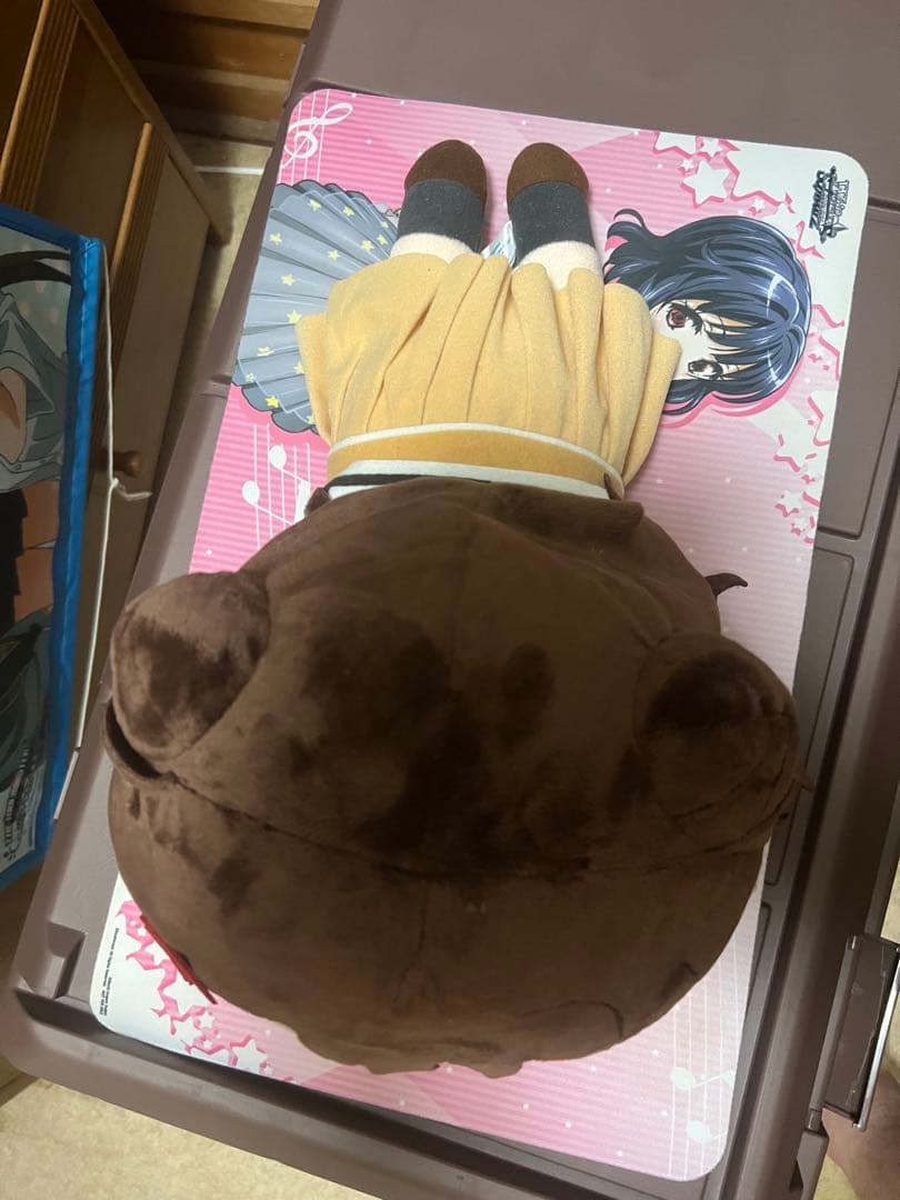 戸山香澄寝そべり