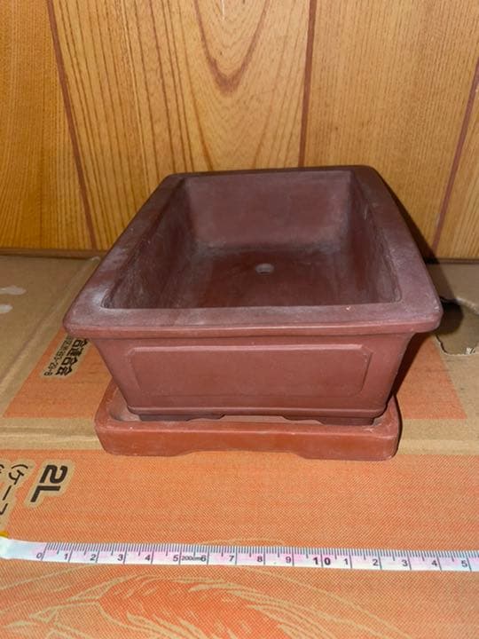 最終価格　中国　中国宜興　植木鉢　盆栽