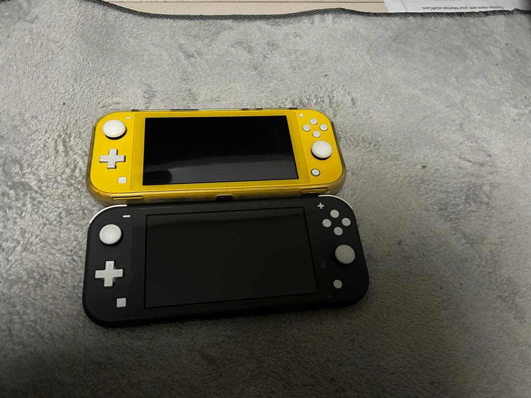 Nintendo Switch Lite 本体2台 + ケース