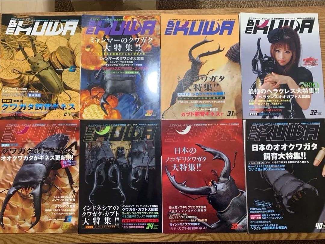BE KUWAビークワ 25冊、昆虫フィールド2冊セット