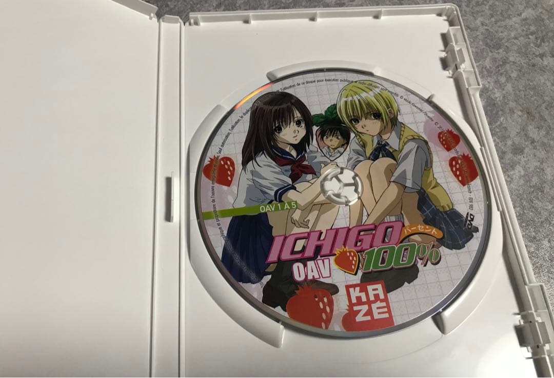 いちご100% TV版+OVA コンプリート DVDボックス 輸入版
