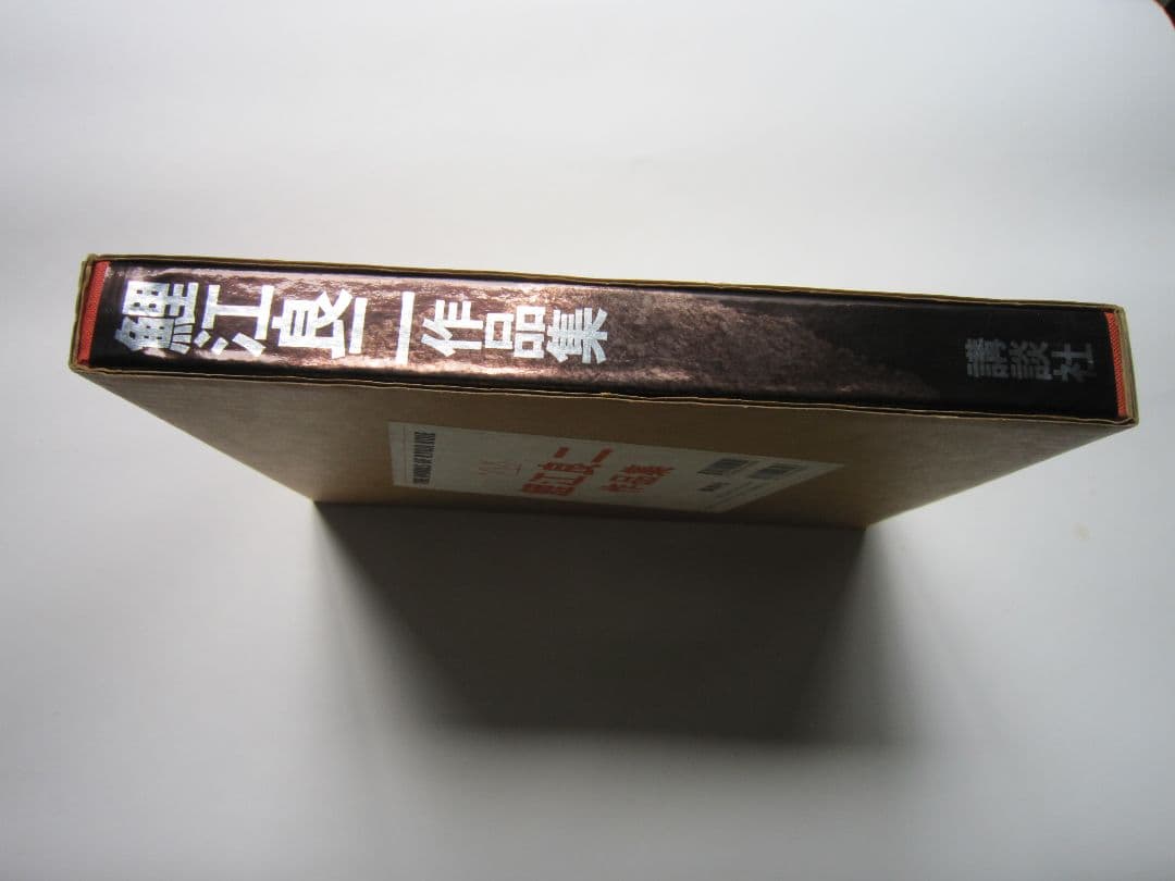 鯉江良二作品集 THE WORKS OF RYOJI KOIE