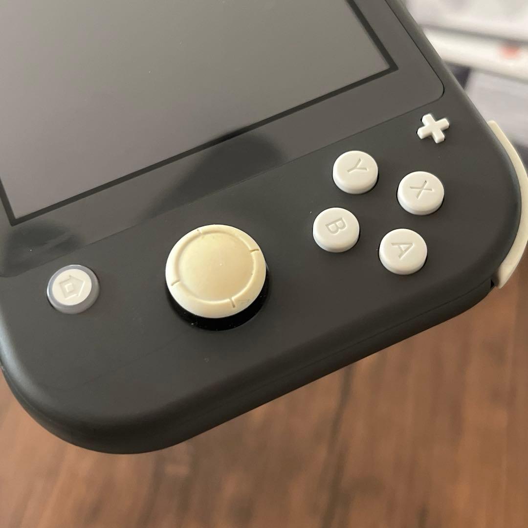 SwitchLight ライト グレー 外箱付き 充電器付き ケース付き