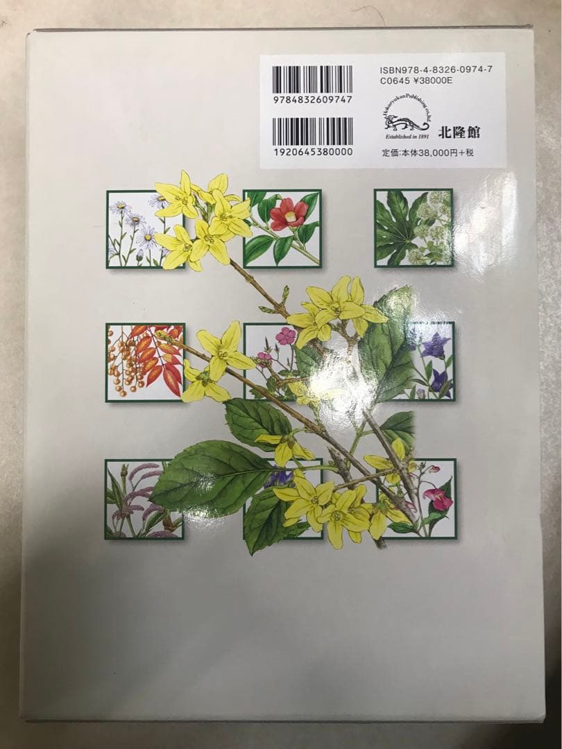 APG 牧野植物大図鑑II 未使用品