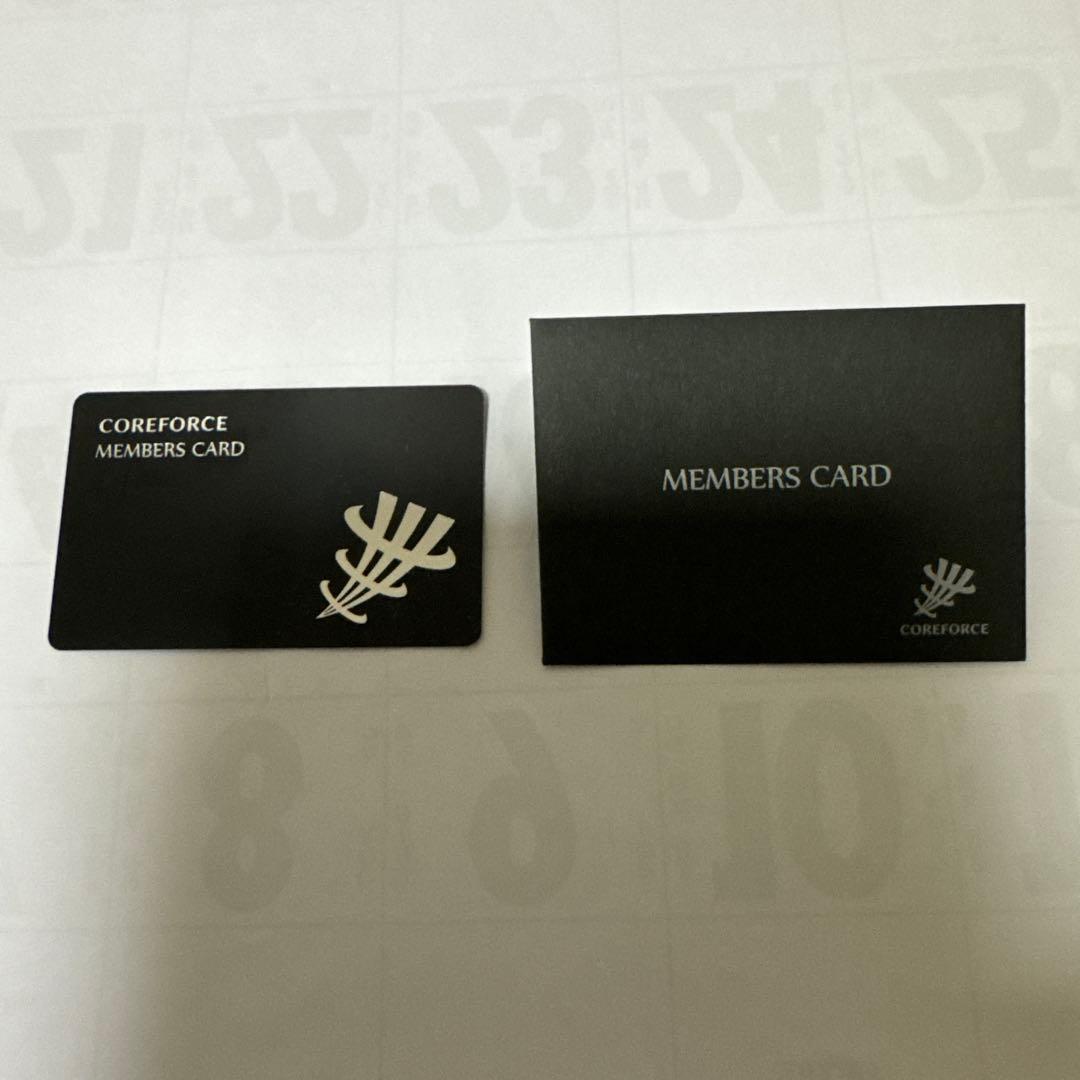 COREFORCE NECK PRO ブラック スピネルネックレス