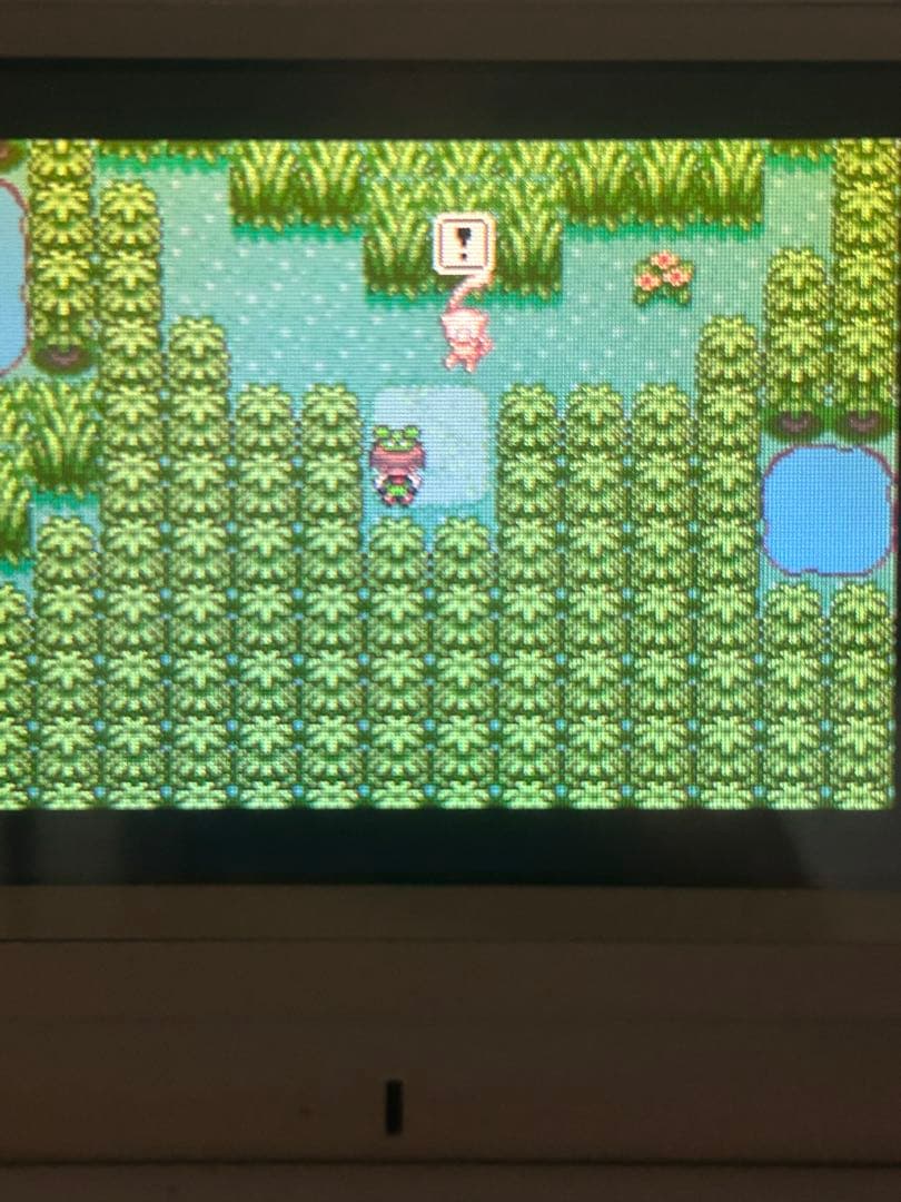 ポケットモンスターダイヤモンド 色違いミュウ